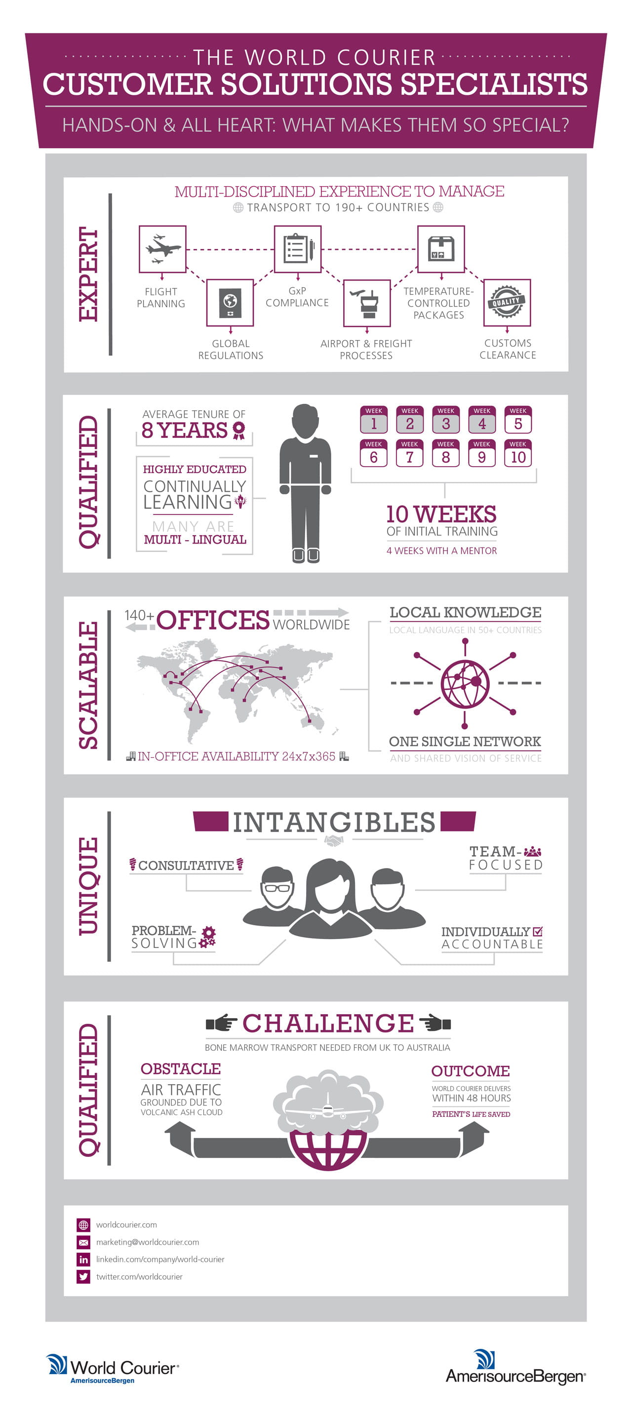 Customer Solutions Specialists Infographic