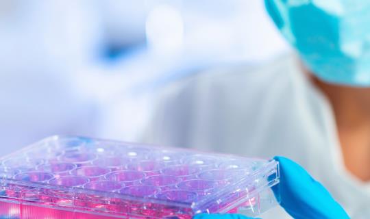 scientist examining samples