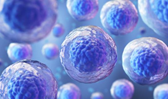 CGT cells