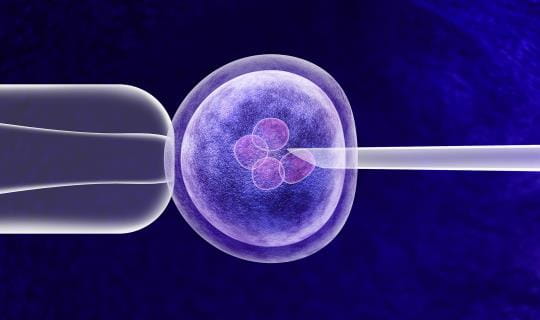 Fresh or frozen: the supply chain needs of your cell and gene therapy
