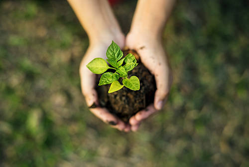 Fallstudie: Verpackungsinnovationen reduzieren die CO2-Bilanz bei DELO und optimieren Prozesse.